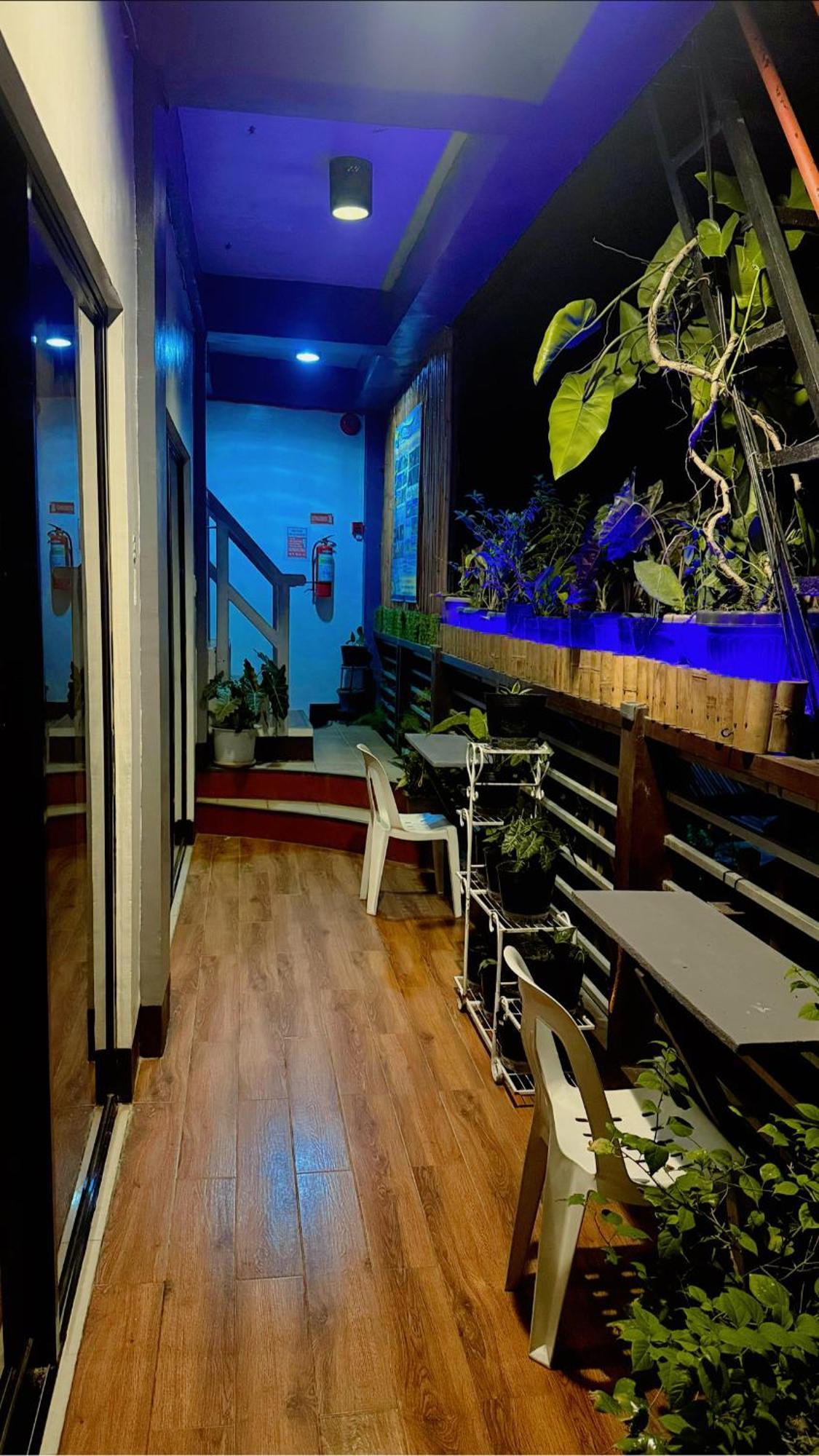 Lolo Bob'S Bed And Breakfast Ел Нидо Екстериор снимка