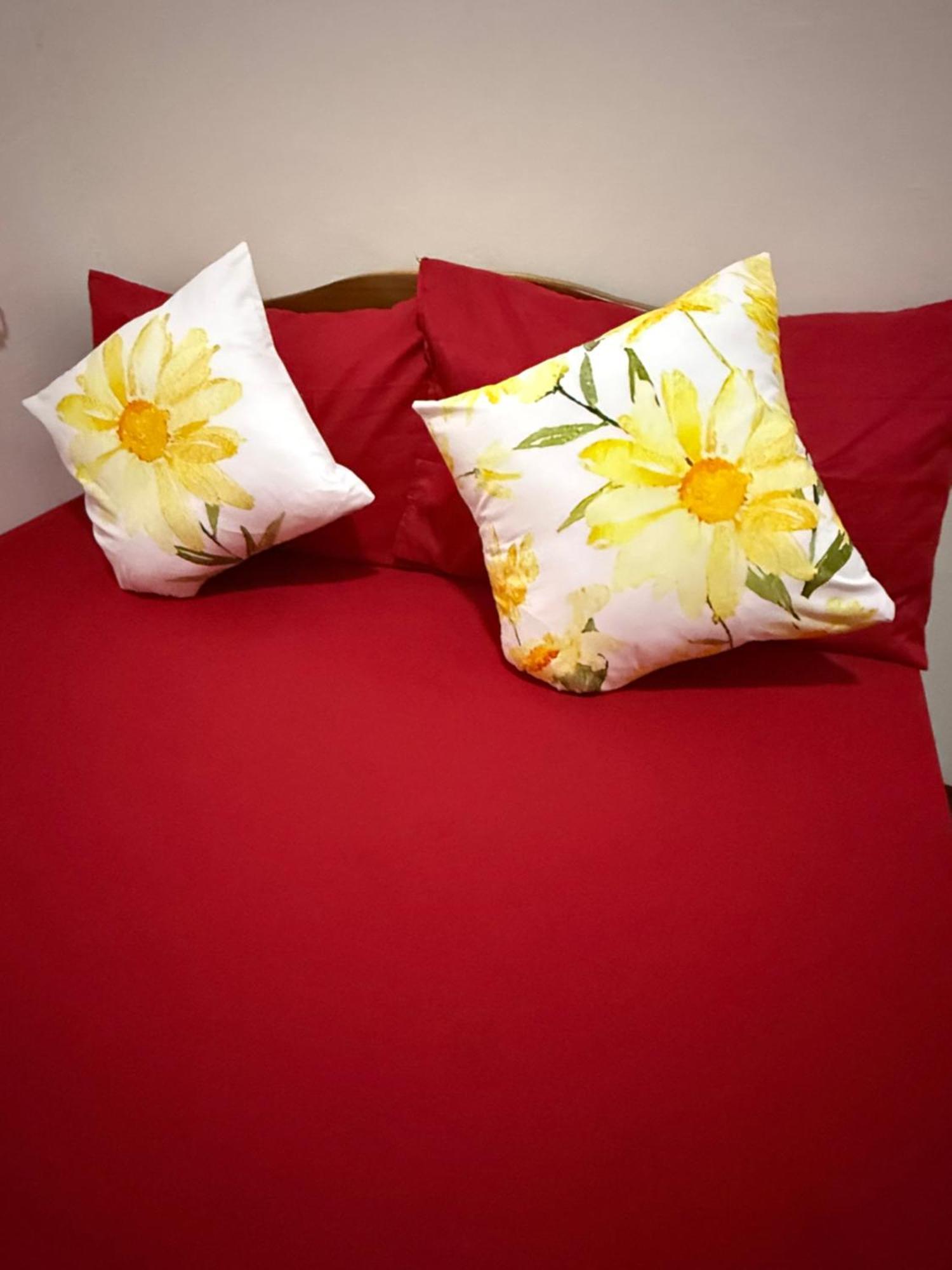 Lolo Bob'S Bed And Breakfast Ел Нидо Екстериор снимка